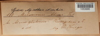 Image Associated With the Occurence